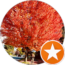 Sunshine R. profile picture